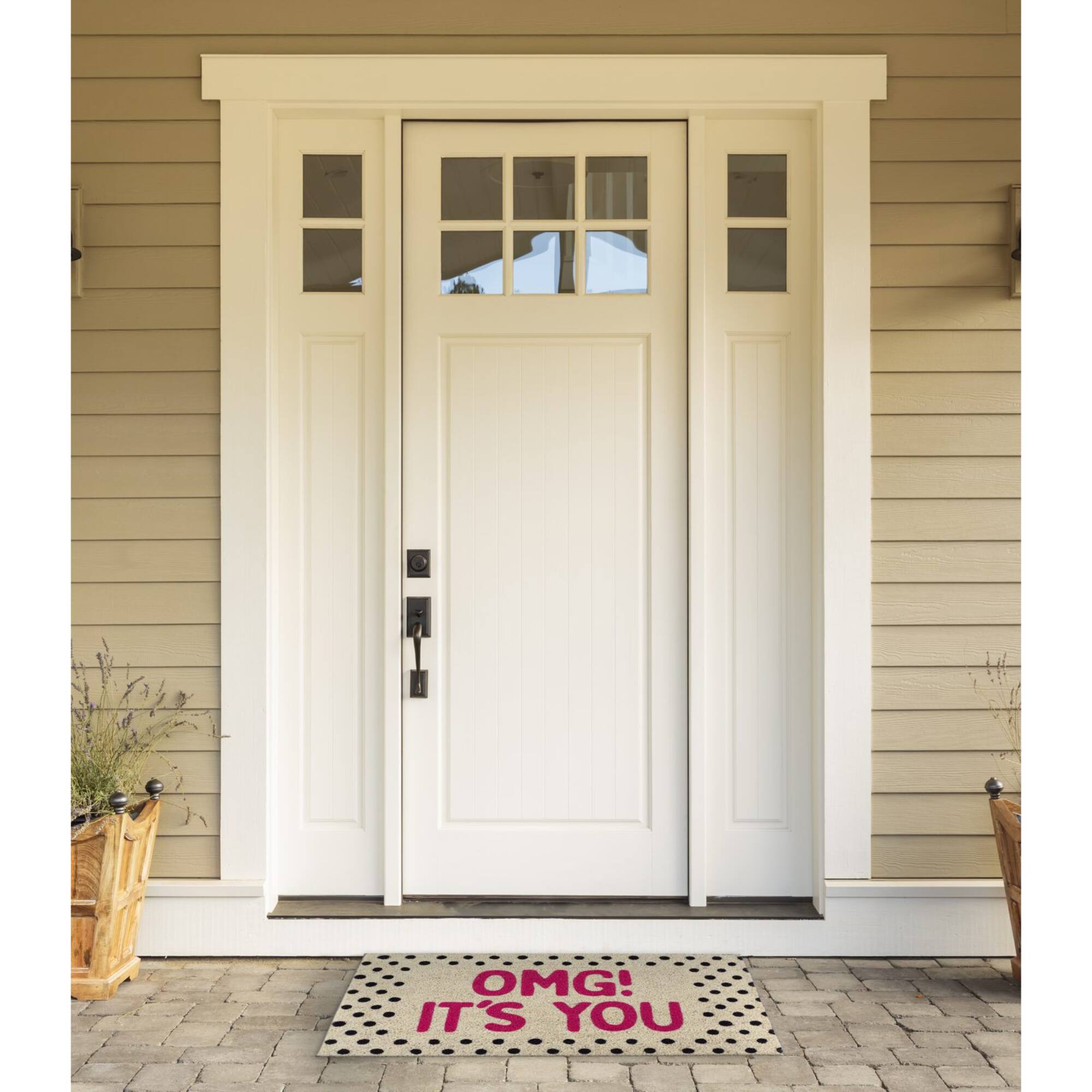 DII® OMG It's You Doormat